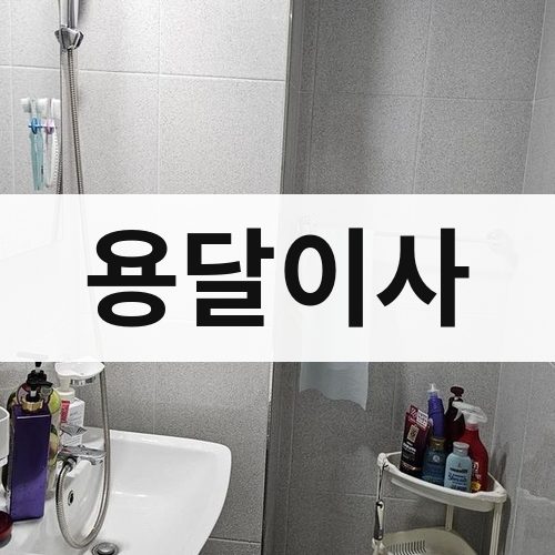 전남 동부 용달이사 포장이사