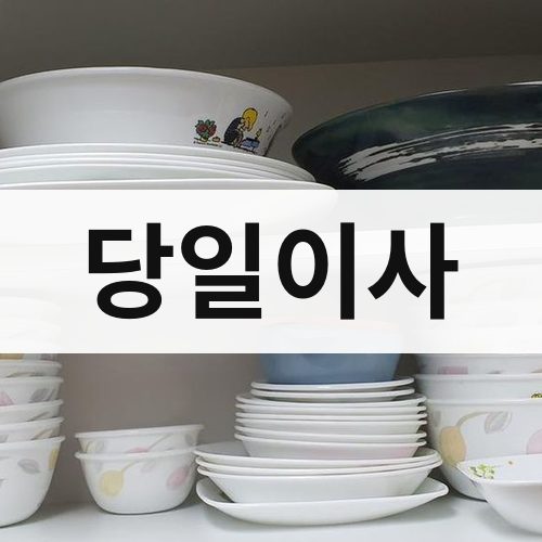 전남 동부 당일이사 포장이사